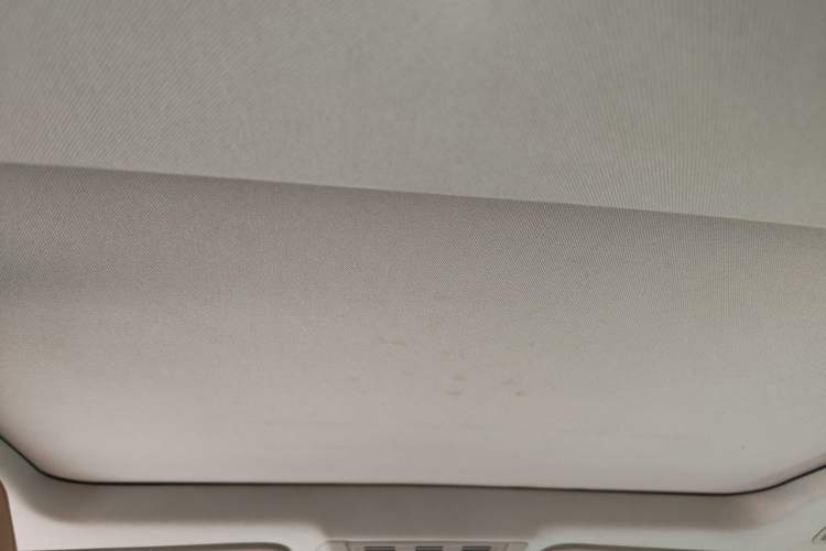 Used BMW 7 Series 2011 730Li Elegant Model Headliner