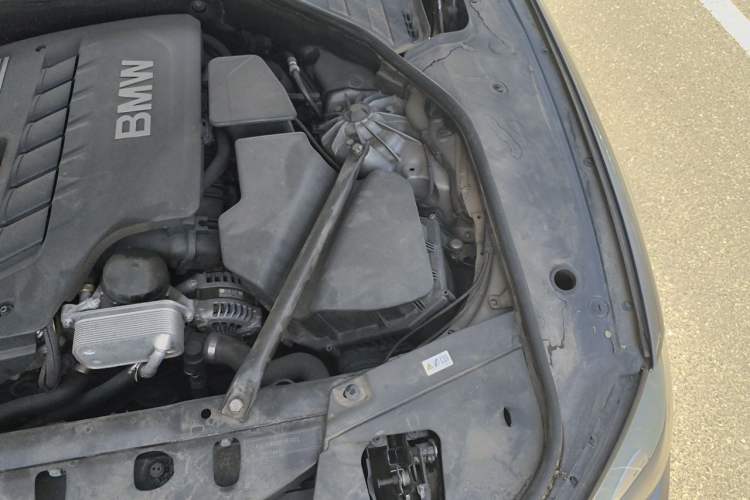 Used BMW 7 Series 2011 730Li Elegant Model Engine Bay Left