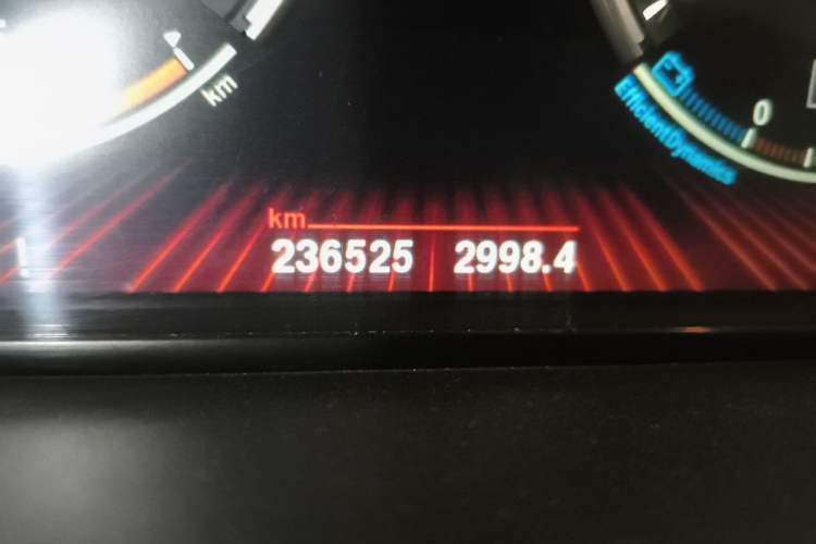 Used BMW 7 Series 2011 730Li Elegant Model Odometer Close Up