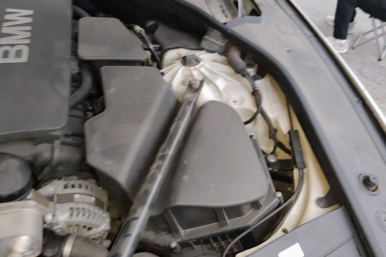Used BMW 7 Series 2011 730Li Elegant Model Engine Bay Left