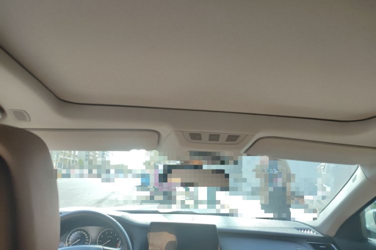 Used BMW 7 Series 2011 730Li Elegant Model Headliner