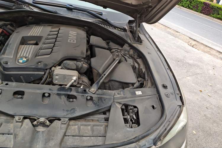 Used BMW 7 Series 2011 730Li Elegant Model Engine Bay Left