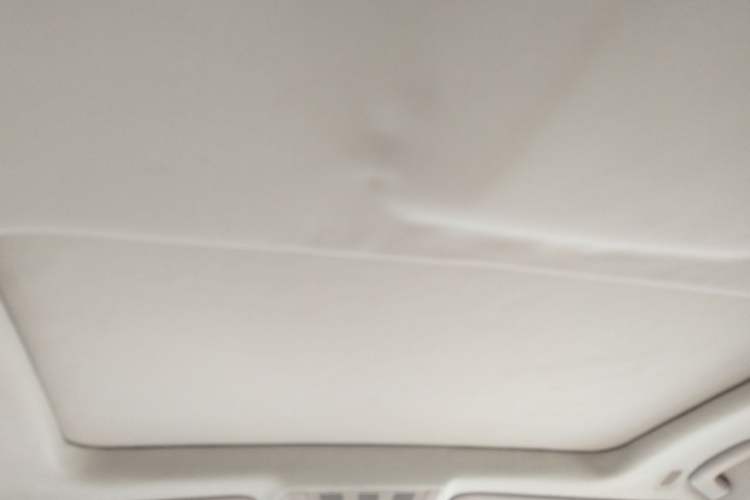 Used BMW 7 Series 2011 730Li Elegant Model Headliner