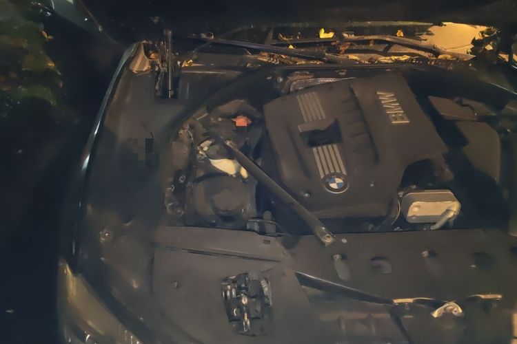 Used BMW 7 Series 2013 730Li Leading Model Engine Bay Right