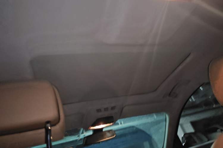 Used BMW 7 Series 2013 730Li Leading Model Headliner