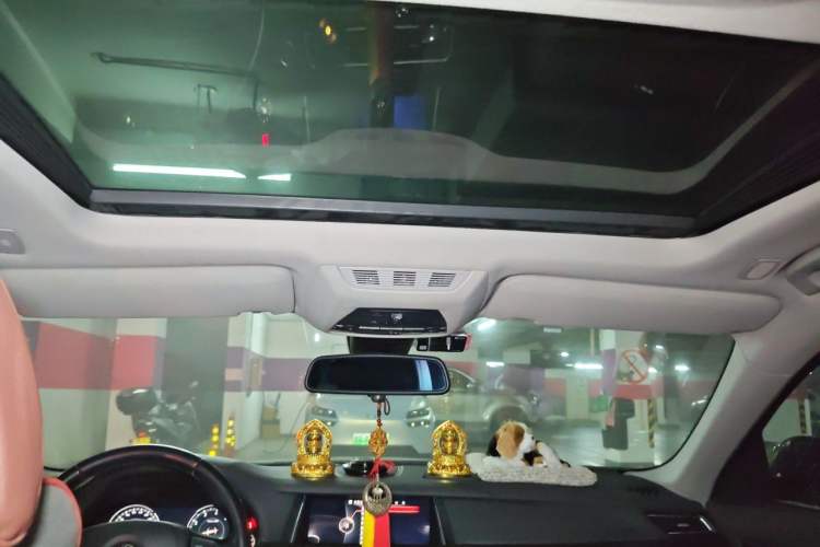 Used BMW 7 Series 2013 730Li Luxury Model Headliner