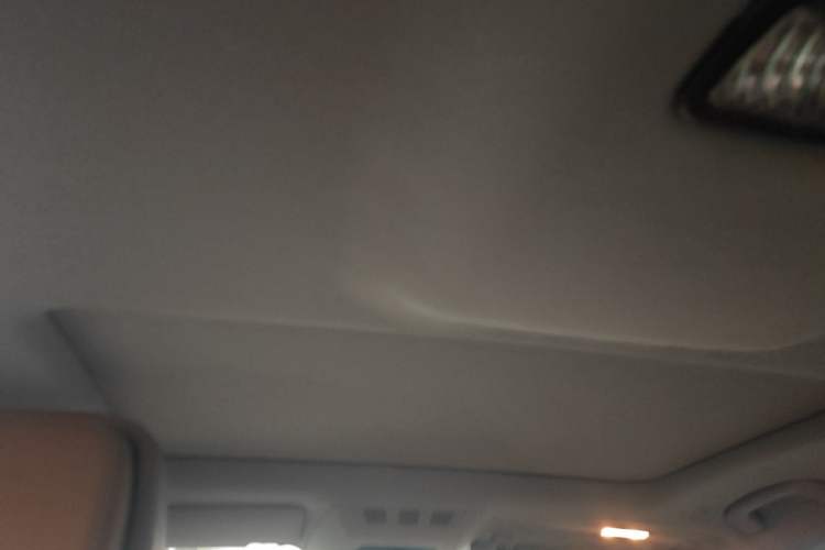 Used BMW 7 Series 2013 730Li Leading Model Headliner