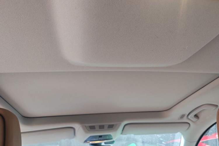Used BMW 7 Series 2013 730Li Leading Model Headliner