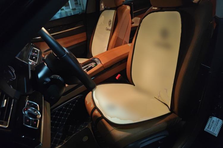 Used BMW 7 Series 2013 730Li Leading Model Left Front Seat
