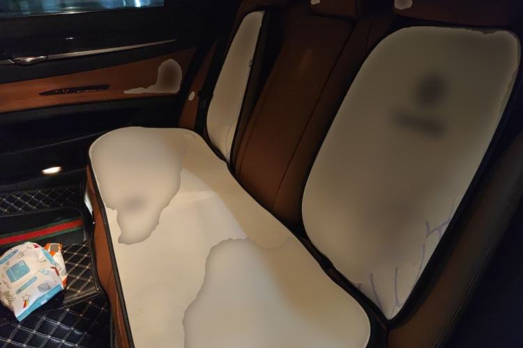 Used BMW 7 Series 2013 730Li Leading Model Left Rear Seat
