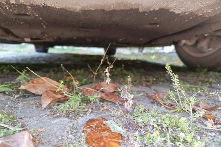 Used BMW 7 Series 2013 730Li Leading Model Chassis Front