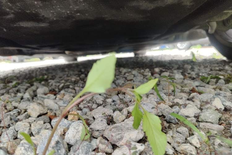Used BMW 7 Series 2013 740Li Leading Model Chassis Front