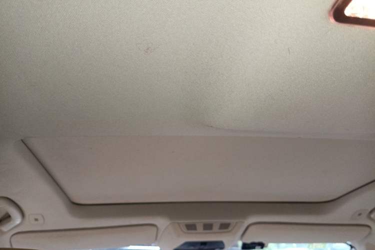 Used BMW 7 Series 2013 730Li Leading Model Headliner