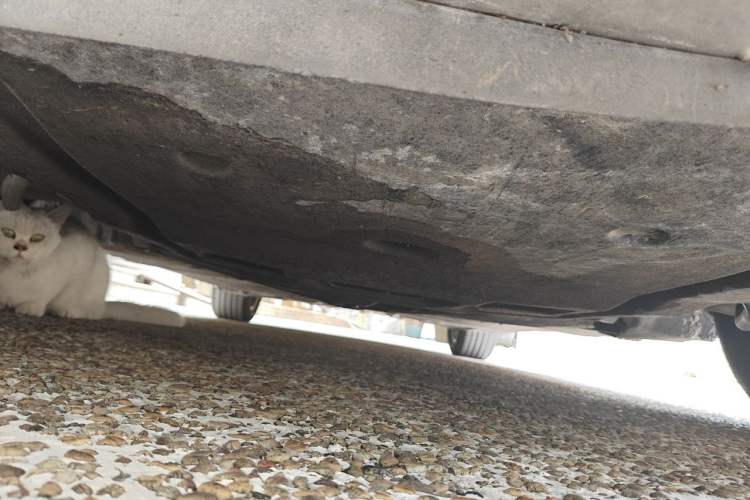 Used BMW 7 Series 2013 740Li Leading Model Chassis Front