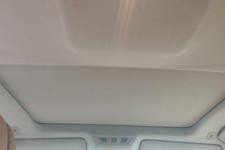 Used BMW 7 Series 2013 740Li Luxury Model Headliner