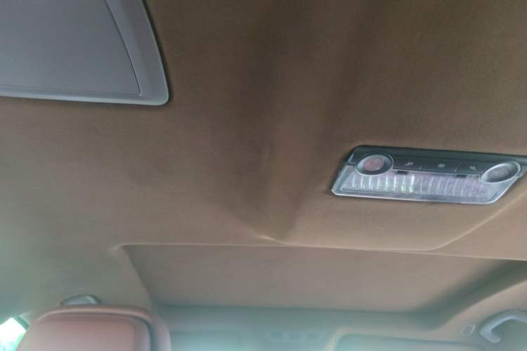 Used BMW 7 Series 2014 730Li Premium Edition Headliner