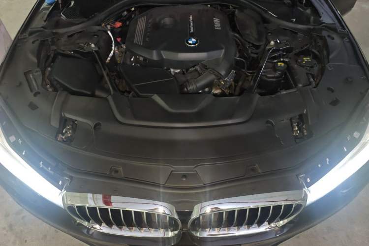 Used BMW 7 Series 2016 730Li Luxury Model Engine Bay