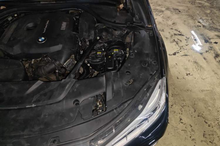 Used BMW 7 Series 2016 730Li Leading Model Engine Bay Left