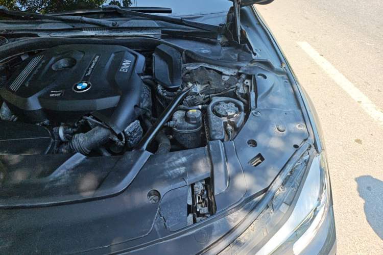 Used BMW 7 Series 2016 730Li Leading Model Engine Bay Left