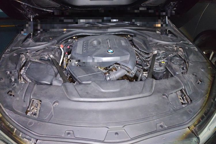 Used BMW 7 Series 2016 730Li Luxury Model Engine Bay