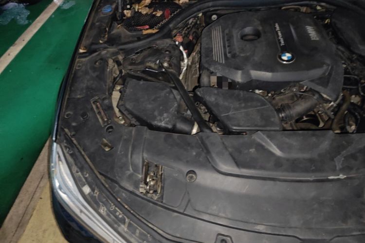 Used BMW 7 Series 2016 730Li Leading Model Engine Bay Right