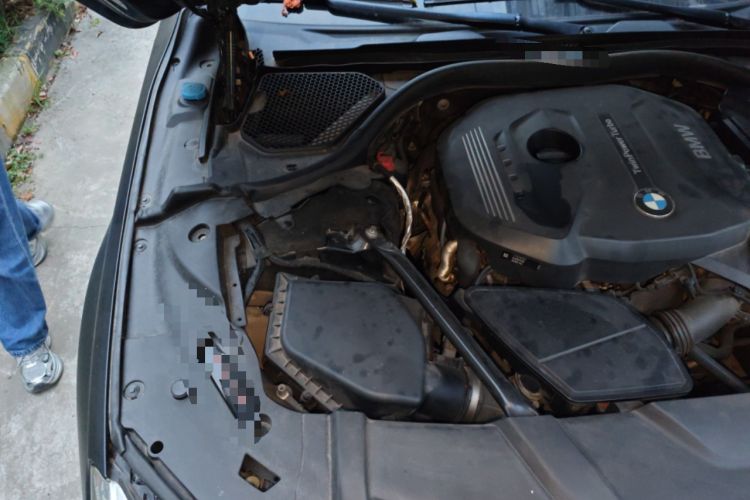 Used BMW 7 Series 2016 730Li Leading Model Engine Bay Right