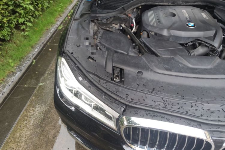 Used BMW 7 Series 2016 730Li Luxury Model Engine Bay Right