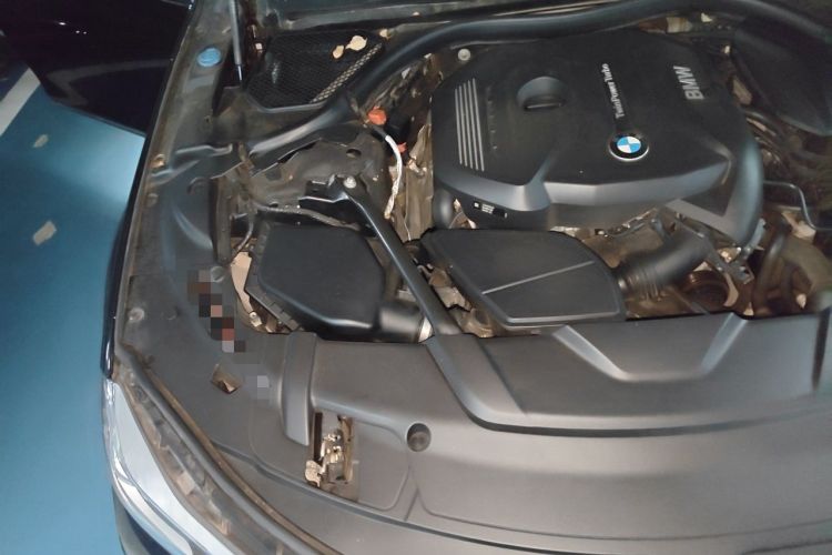 Used BMW 7 Series 2016 730Li Leading Model Engine Bay Right