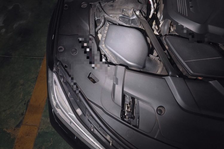 Used BMW 7 Series 2016 730Li Leading Model Engine Bay Right