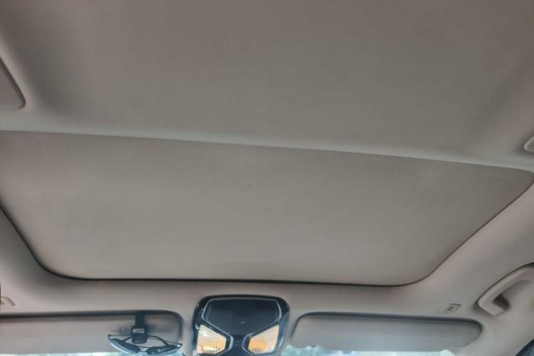 Used BMW 7 Series 2016 730Li Leading Model Headliner