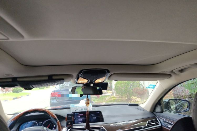 Used BMW 7 Series 2016 730Li Leading Model Headliner