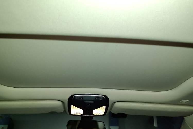Used BMW 7 Series 2016 730Li Leading Model Headliner