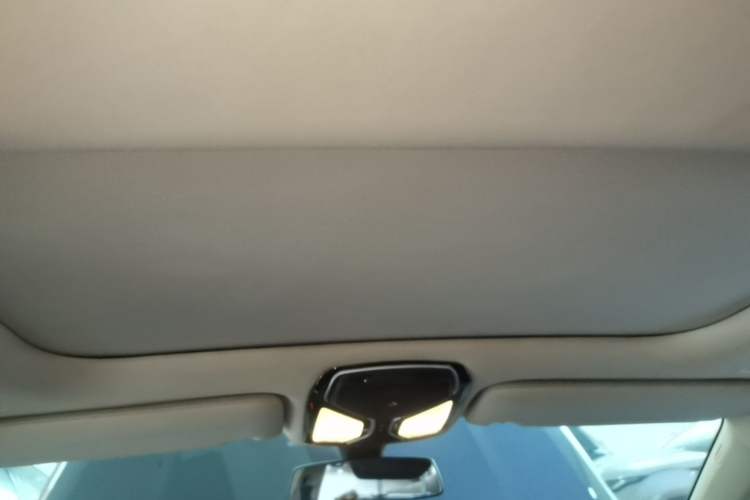 Used BMW 7 Series 2016 730Li Leading Model Headliner