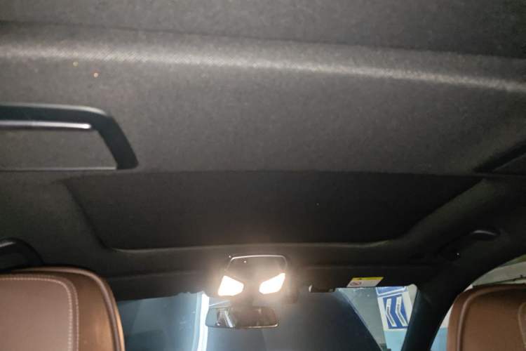 Used BMW 7 Series 2016 730Li Leading Model Headliner