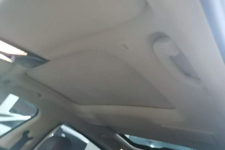 Used BMW 7 Series 2016 730Li Leading Model Headliner