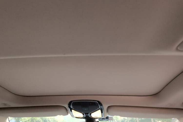 Used BMW 7 Series 2016 730Li Leading Model Headliner
