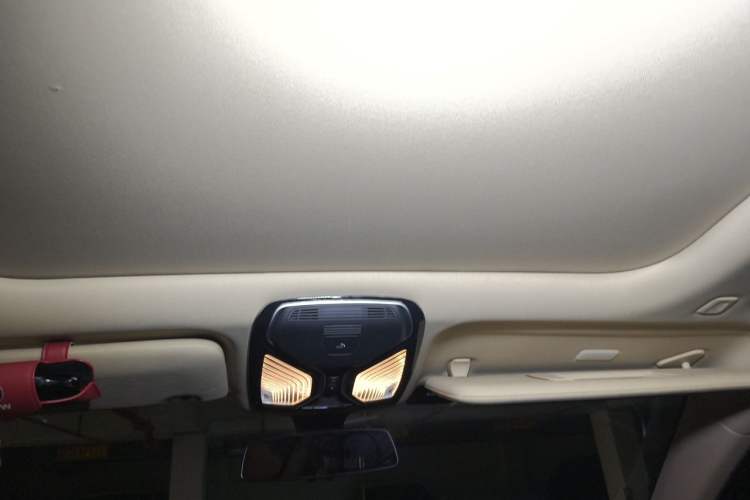 Used BMW 7 Series 2016 730Li Luxury Model Headliner