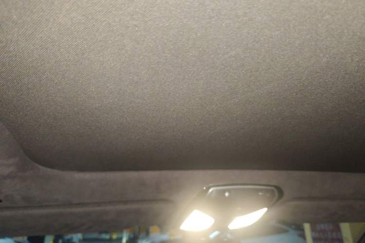 Used BMW 7 Series 2016 730Li Luxury Model Headliner
