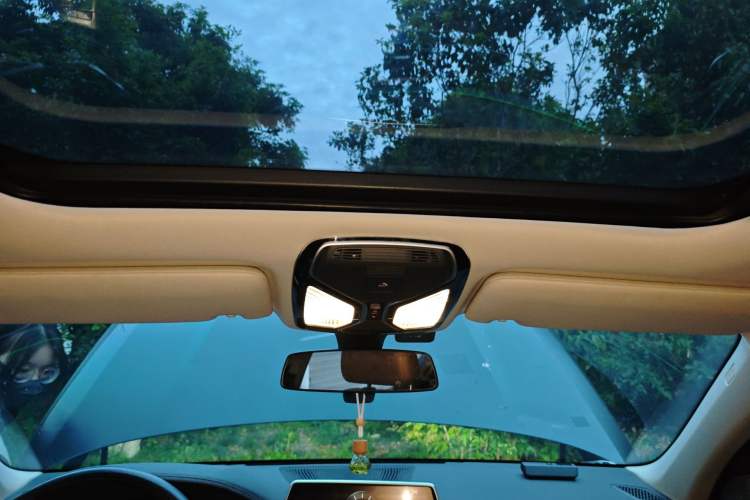 Used BMW 7 Series 2016 730Li Leading Model Headliner