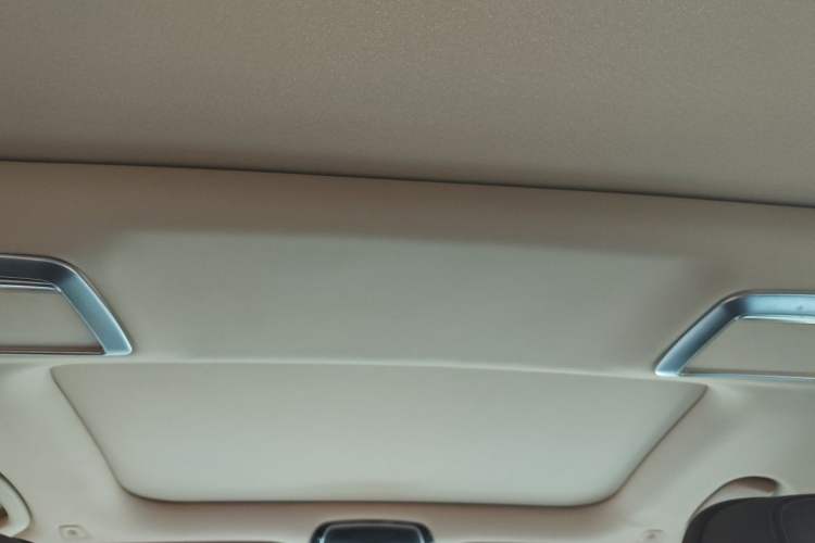 Used BMW 7 Series 2016 730Li Luxury Model Headliner