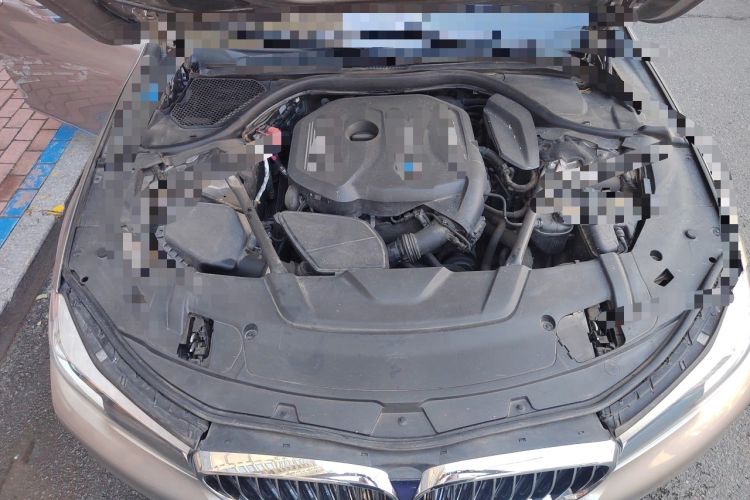 Used BMW 7 Series 2016 730Li Leading Model Engine Bay