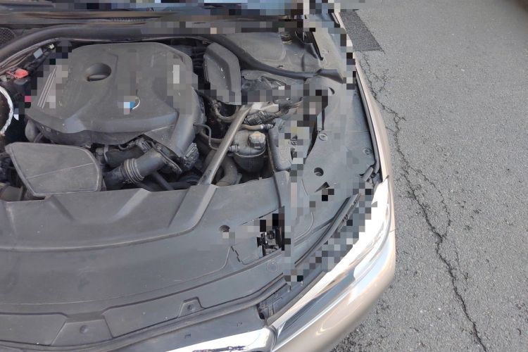 Used BMW 7 Series 2016 730Li Leading Model Engine Bay Left
