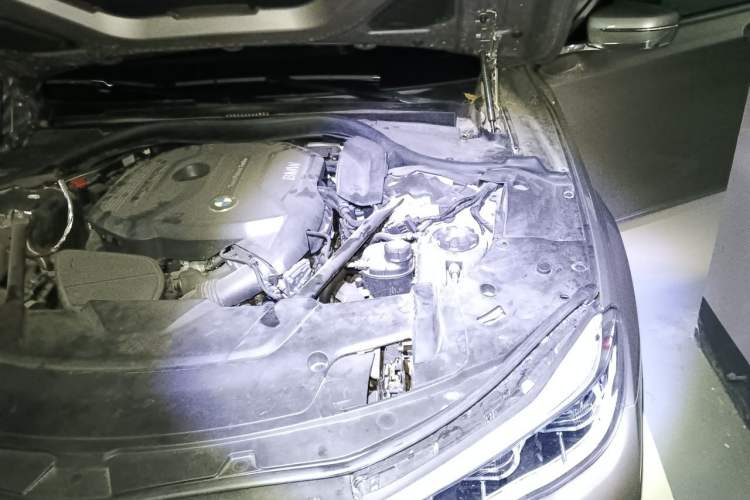 Used BMW 7 Series 2016 730Li Leading Model Engine Bay Left