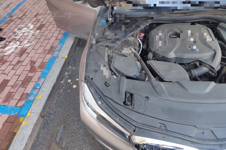 Used BMW 7 Series 2016 730Li Leading Model Engine Bay Right