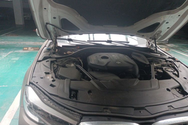 Used BMW 7 Series 2016 730Li Leading Model Engine Bay Right