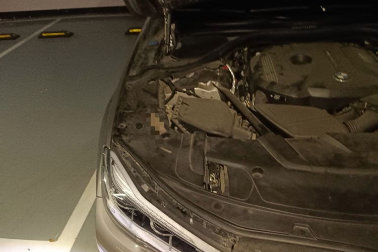 Used BMW 7 Series 2016 730Li Leading Model Engine Bay Right