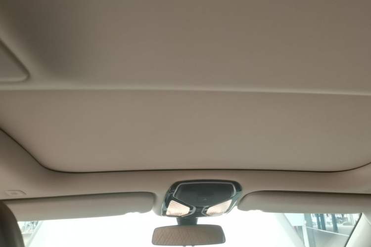 Used BMW 7 Series 2016 730Li Luxury Model Headliner