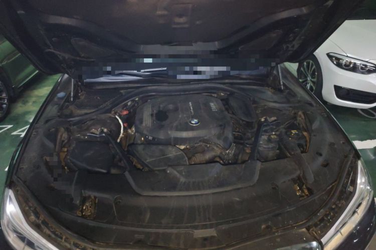 Used BMW 7 Series 2016 730Li Leading Model Engine Bay