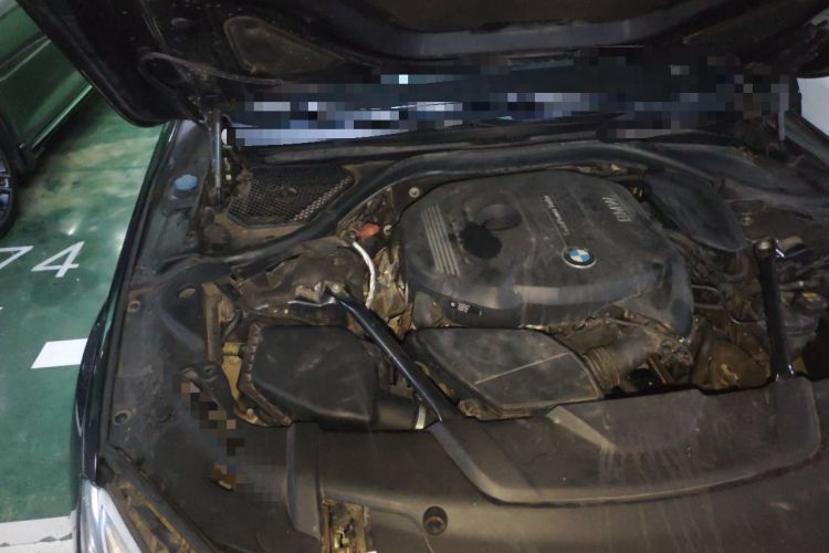 Used BMW 7 Series 2016 730Li Leading Model Engine Bay Right
