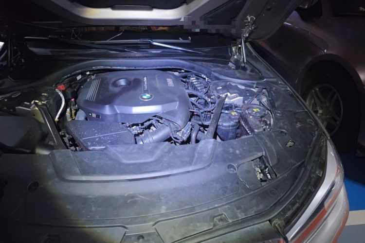 Used BMW 7 Series 2016 730Li Leading Model Engine Bay Left